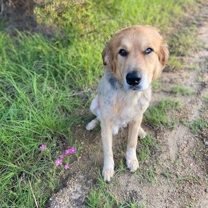 Meet your Posher, Lily